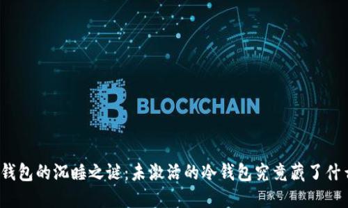 冷钱包的沉睡之谜：未激活的冷钱包究竟藏了什么？