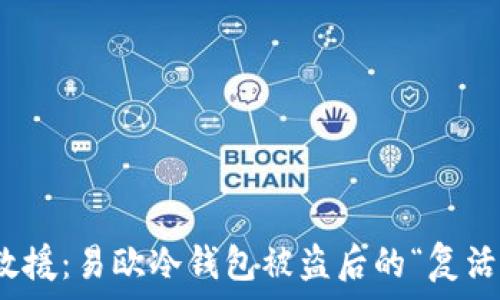   
紧急救援：易欧冷钱包被盗后的“复活”之路