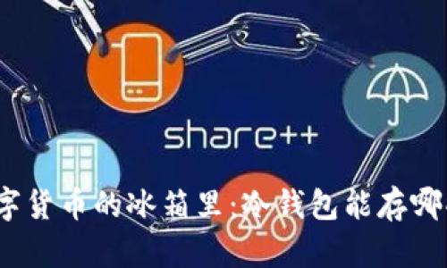 在数字货币的冰箱里：冷钱包能存哪些币？