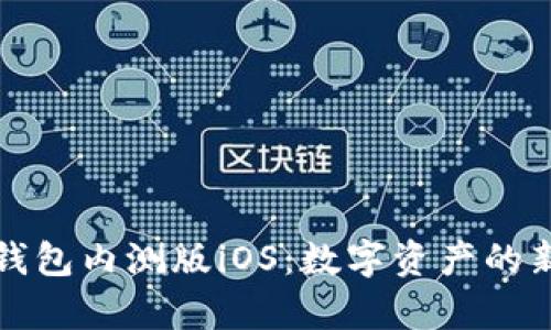 探索tp钱包内测版iOS：数字资产的新航海图