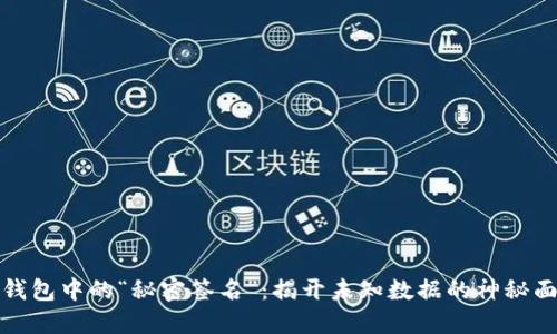 冷钱包中的“秘密签名”：揭开未知数据的神秘面纱