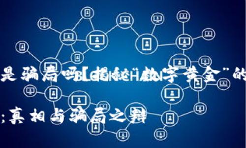 中本聪币是骗局吗？揭秘“数字黄金”的真实面纱

中本聪币：真相与骗局之辩