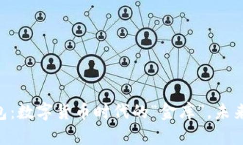 Kcash钱包：数字货币时代的“金库”，未来趋势展望