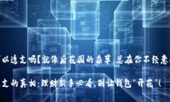 数字钱包可以透支吗？就