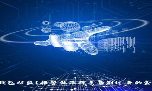 冷钱包被盗？报警就像挥手告别过去的金库！