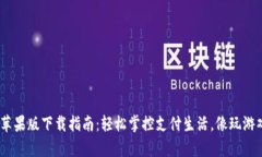 Gopay钱包苹果版下载指南：