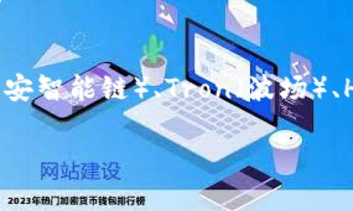 TP钱包（TokenPocket）并不是一条公链，而是一个多链钱包。它支持多种区块链资产的管理，包括Ethereum（以太坊）、BSC（币安智能链）、Tron（波场）、HECO（火币生态链）等。通过TP钱包，用户可以方便地管理不同区块链上的数字资产、进行交易、与去中心化应用（DApp）互动等。

如果你对TP钱包或者公链有更多的疑问，欢迎继续提问！