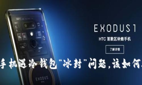苹果手机遇冷钱包“冰封”问题，该如何破冰？