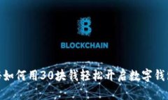 : 揭秘如何用30块钱轻松开
