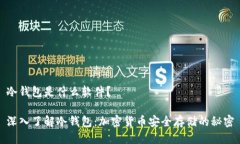 冷钱包是什么软件？深入