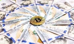 关于虚拟币平台是否会跑