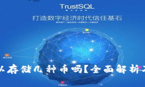 冷钱包可以存储几种币吗？全面解析及应用指南