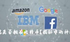 中本聪是否拥有比特币？