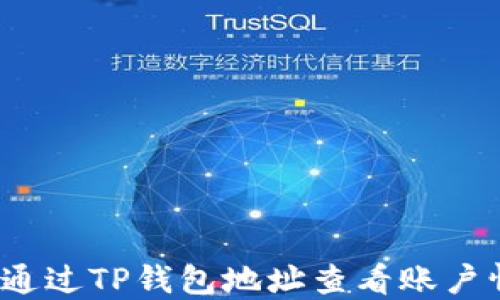 
如何通过TP钱包地址查看账户情况？