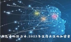 TP钱包中的潜力币：2023年