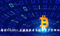全面解析Bitderr：区块链技