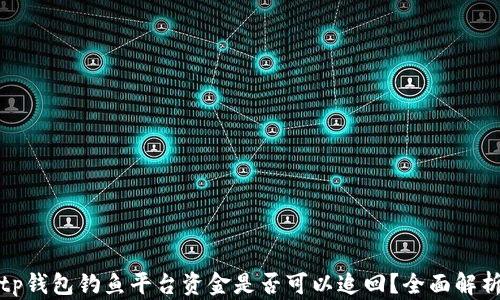 
tp钱包钓鱼平台资金是否可以追回？全面解析