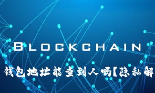 ### 泰达币钱包地址能查到人吗？隐私解析与信息安全