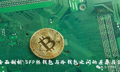 : 全面剖析：SFP热钱包与冷钱包之间的差异与优势