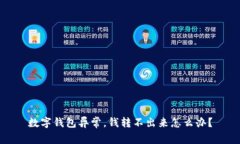 数字钱包异常，钱转不出