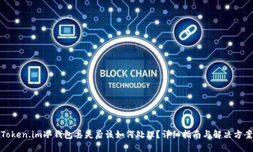 Token.im冷钱包丢失后该如何处理？详细指南与解决方案