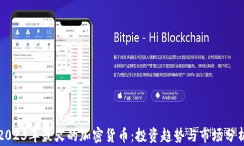 
2023年最火的加密货币：投资趋势与市场分析