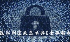 Title: 冷钱包私钥遗失怎么