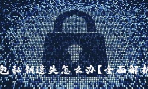 Title: 冷钱包私钥遗失怎么办？全面解析及解决方案