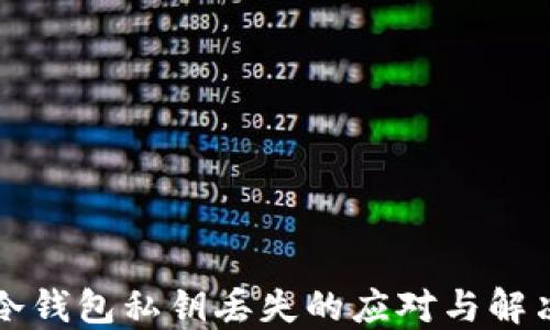 
独立冷钱包私钥丢失的应对与解决方案