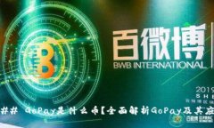 ### GoPay是什么币？全面解