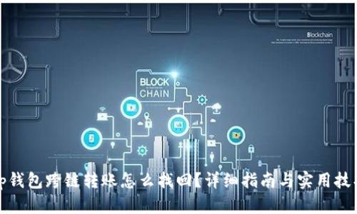 tp钱包跨链转账怎么找回？详细指南与实用技巧