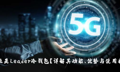 什么是Leader冷钱包？详解其功能、优势与使用指南