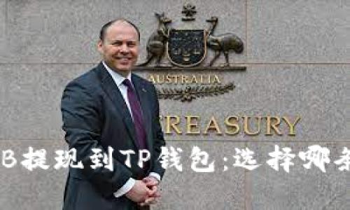 如何将BNB提现到TP钱包：选择哪条链最优解