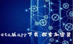 中本聪Beta版app下载：探索