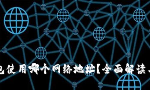 比特派钱包使用哪个网络地址？全面解读与实用指导