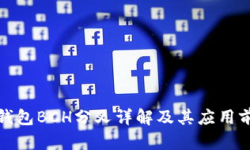 冷钱包BCH分叉详解及其应用前景